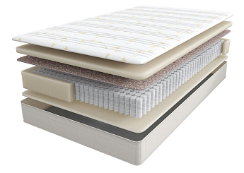 Balance Practice Anatomic